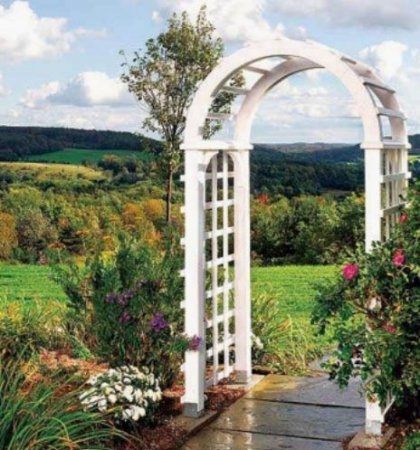 Перголы и арки для сада - фото